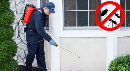 Safranbolu Akrep İlaçlama böcek ilaçlama ve haşere kontrolü — ilaclama-tr.com